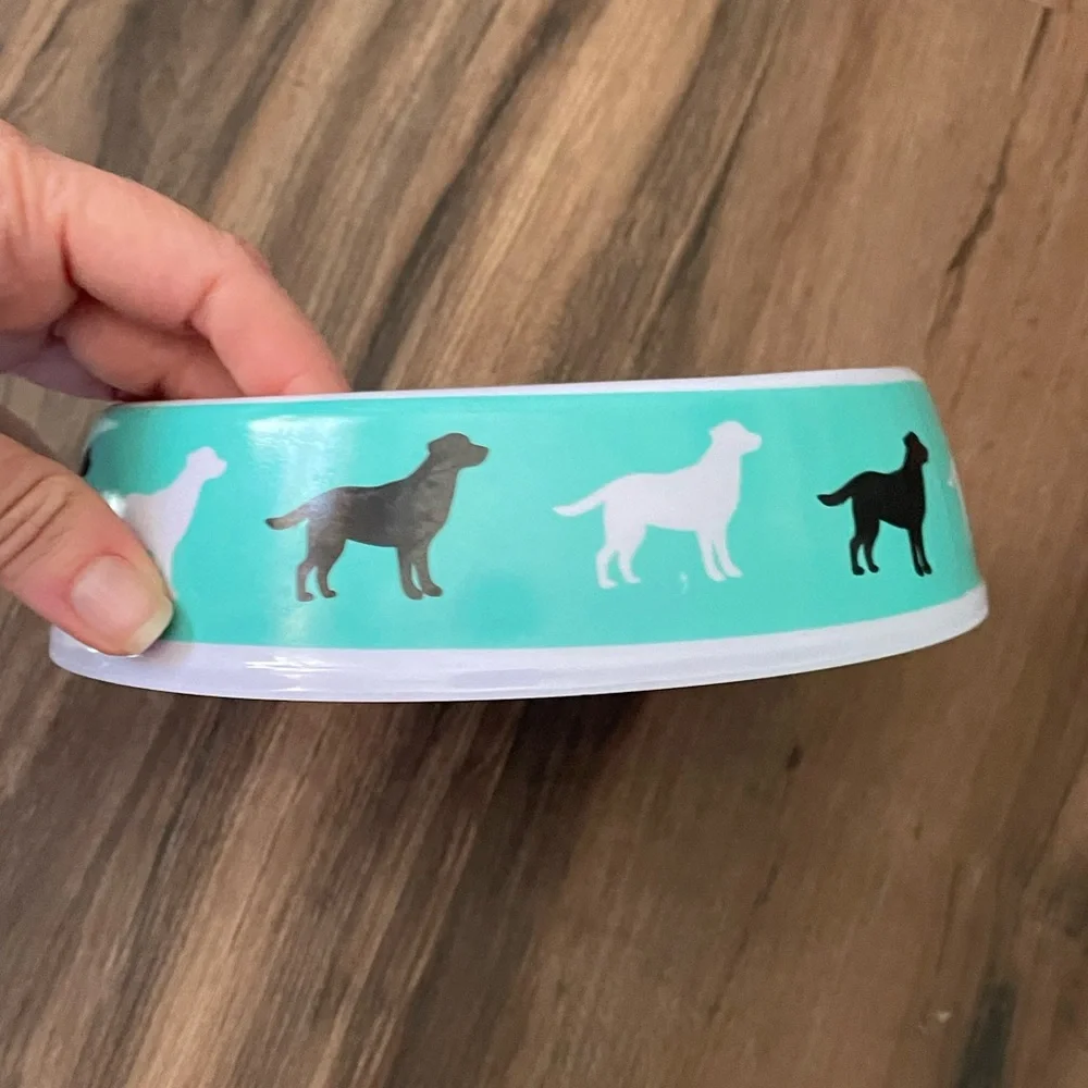Teal and White Dog Bowl